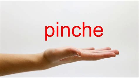 pinche meaning|what is pinche in english.